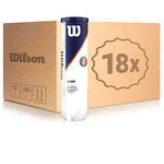 Wilson Pressurized ball Wilson Roland Garros All Court 4 Ball Tube