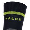 Falke