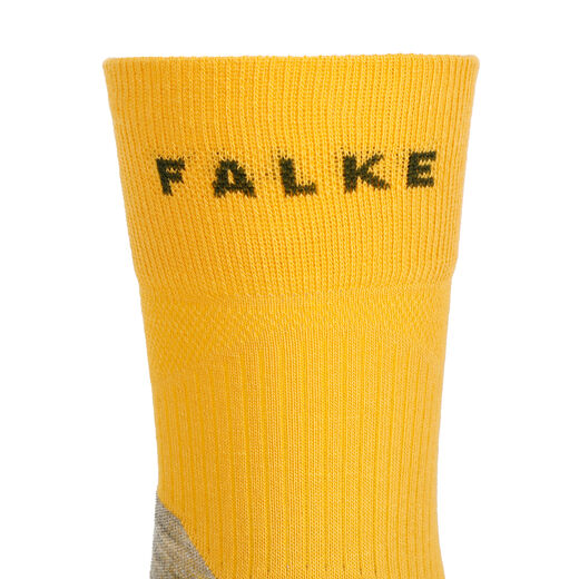 Falke