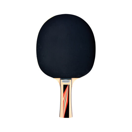 Schildkr&ouml;t Fitness