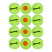 Gamma