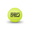 Dunlop