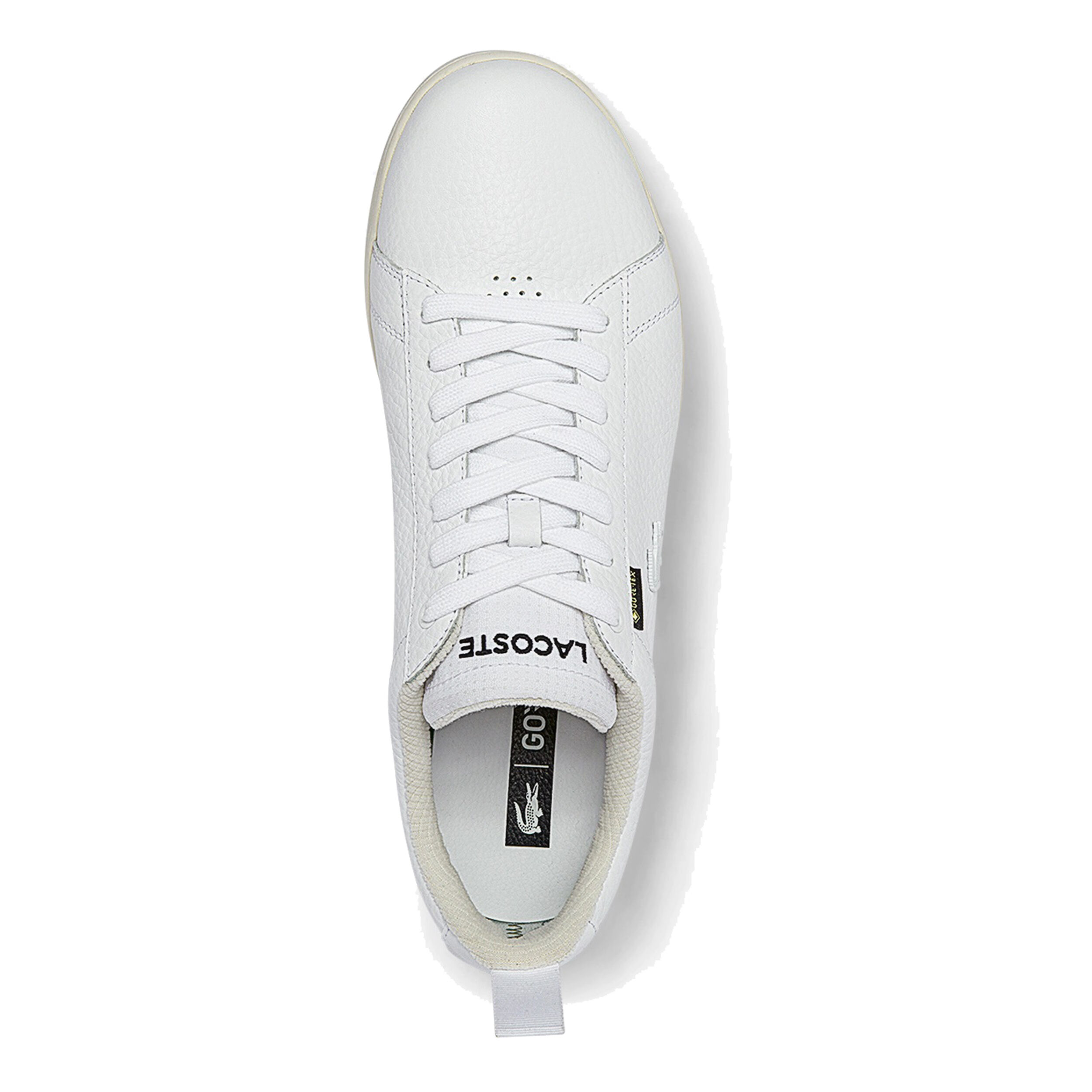 Women's carnaby evo leather sneakers shop