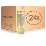 HEAD Pressurized ball HEAD Tour 3 Ball Tube