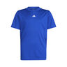 Essentials T-Shirt Boys-Blue