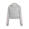 Essentials Crop Zip Hoodie Kids-Grey