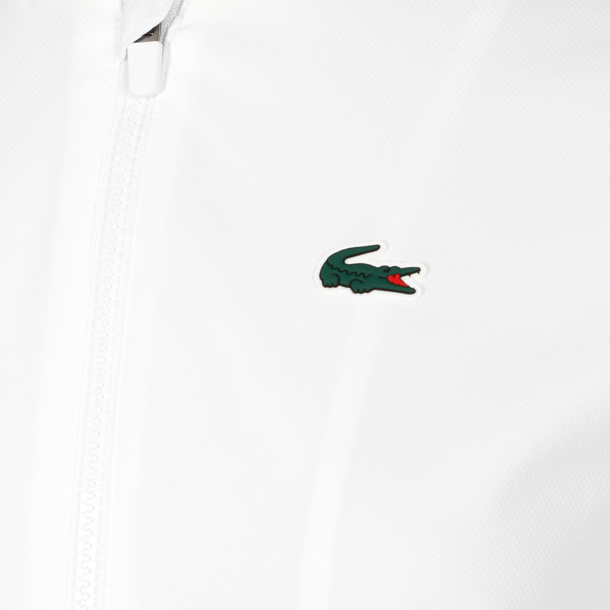 Lacoste buy deals
