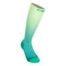 Core Edt. Gradient Tall 5.0 Compression Socks Men-Green,Lime