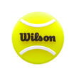 Wilson