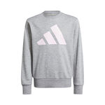 adidas Clothing adidas Essentials Sweatshirt Kids-Grey,White