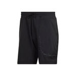 US Series 2in1 Shorts